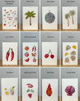 Eloise's Easel Watercolour Cards | 5 Card Bundle
