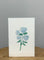 Blue Flowers