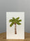 Palm Tree