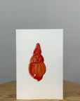 Eloise's Easel Watercolour Card | Red Shell