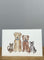 Two Dogs, Two Cats