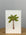 Palm Tree