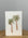 Twin Palms